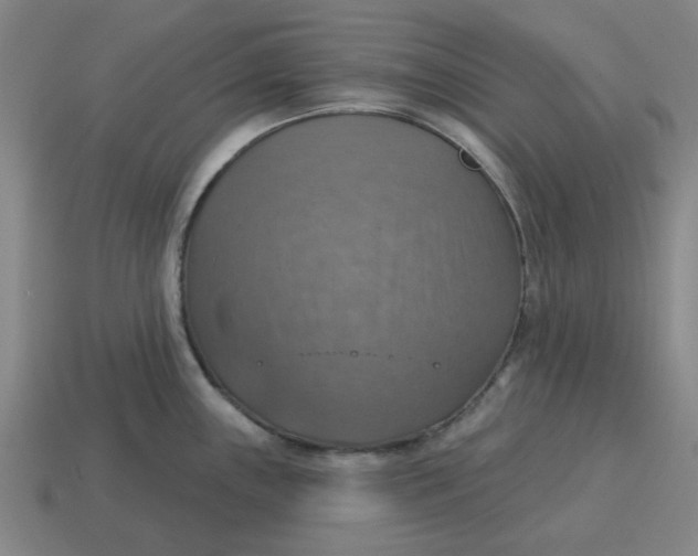 X0000114421243200911061616