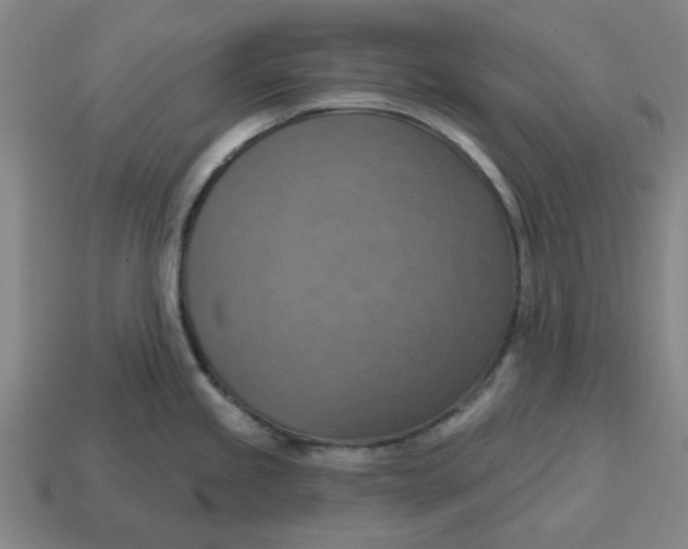 X0000114421245200911061616