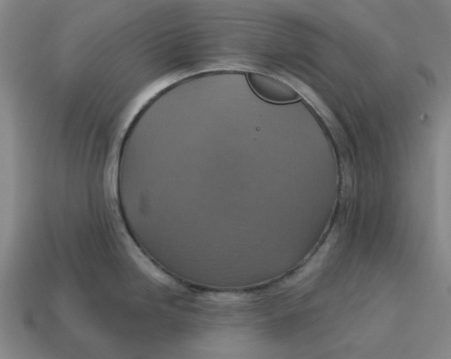 X0000114421246200911061616