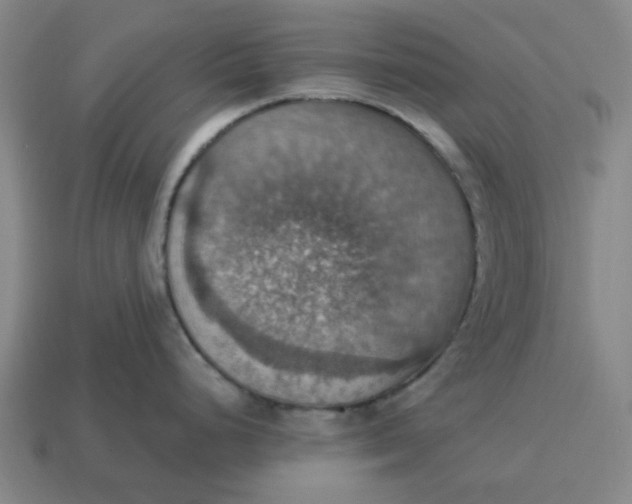 X0000114421248200911061616
