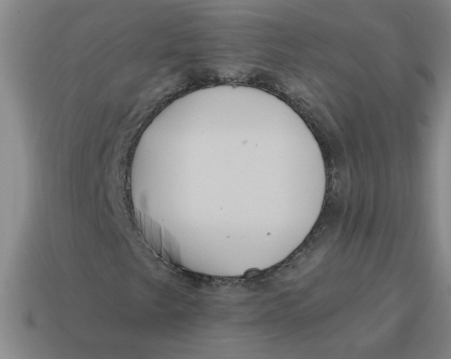 X0000114421249200911061615