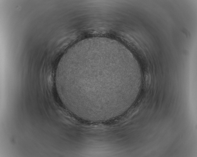 X0000114421250200911061615