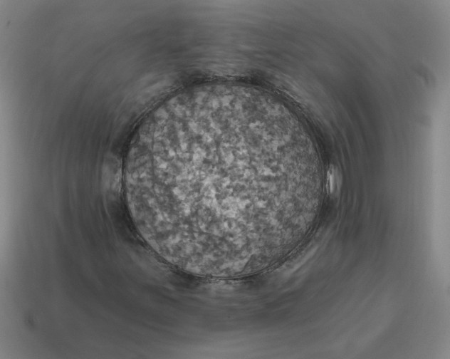 X0000114421251200911061615