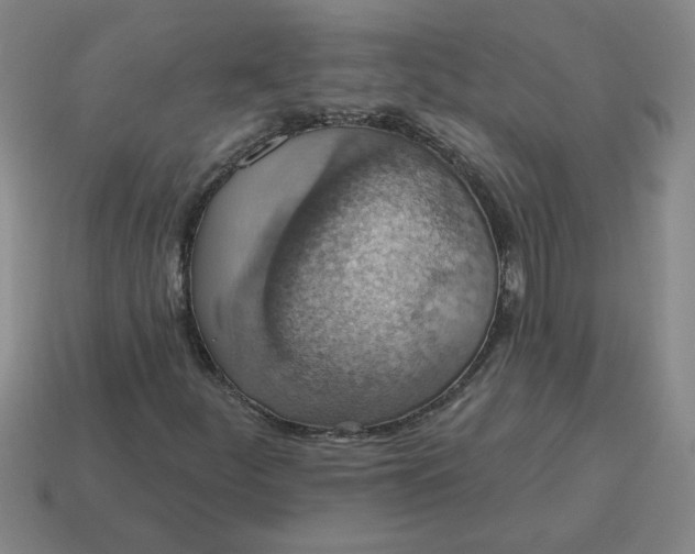 X0000114421252200911061615