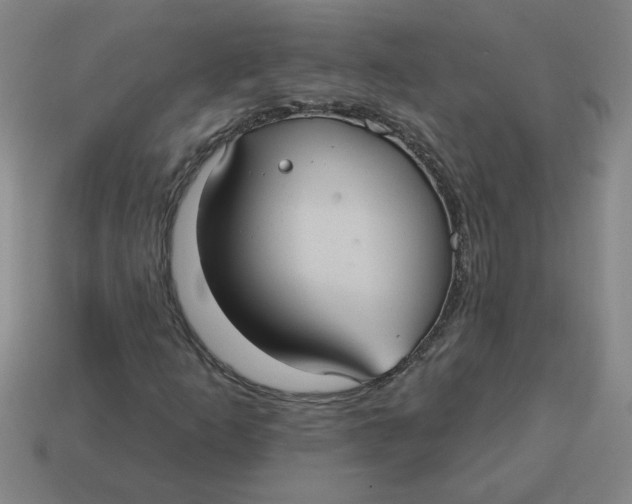 X0000114421253200911061615