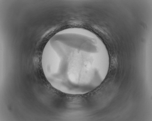 X0000114421254200911061615