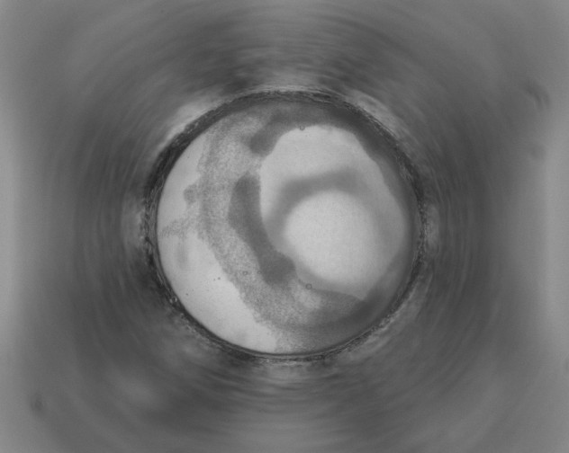 X0000114421258200911061615