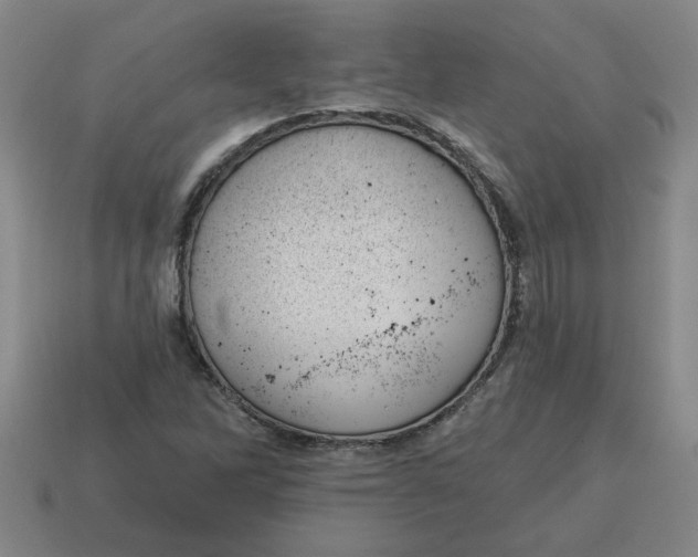 X0000114421262200911061615