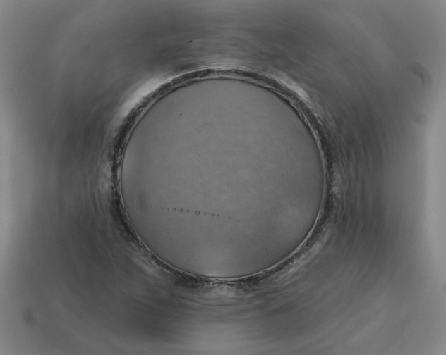 X0000114421263200911061615