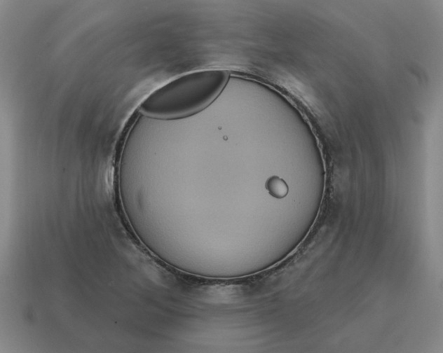 X0000114421268200911061615