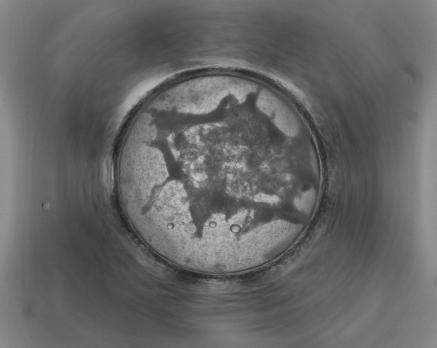 X0000114421271200911061615