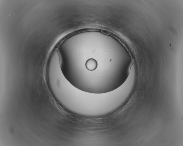 X0000114421272200911061615
