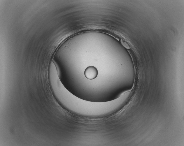 X0000114421273200911061615