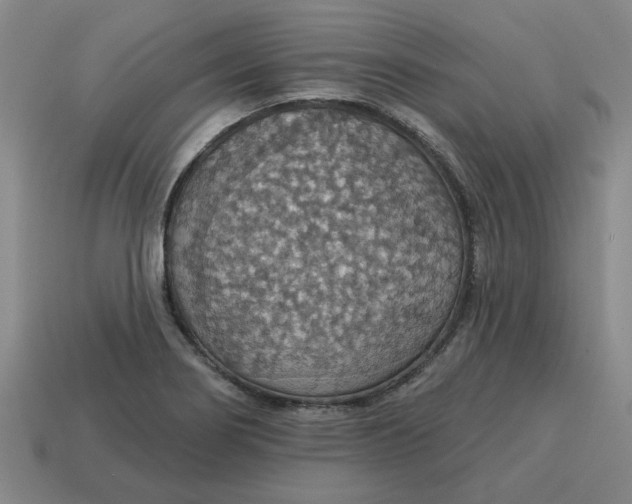 X0000114421274200911061615