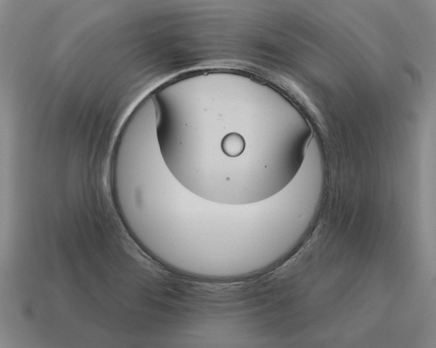 X0000114421276200911061615