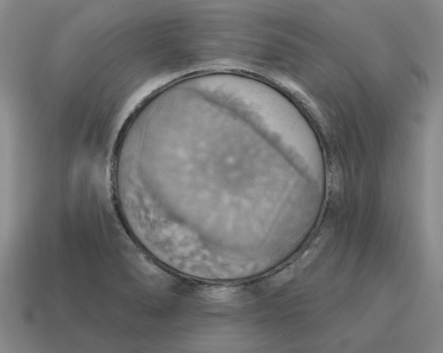 X0000114421278200911061615