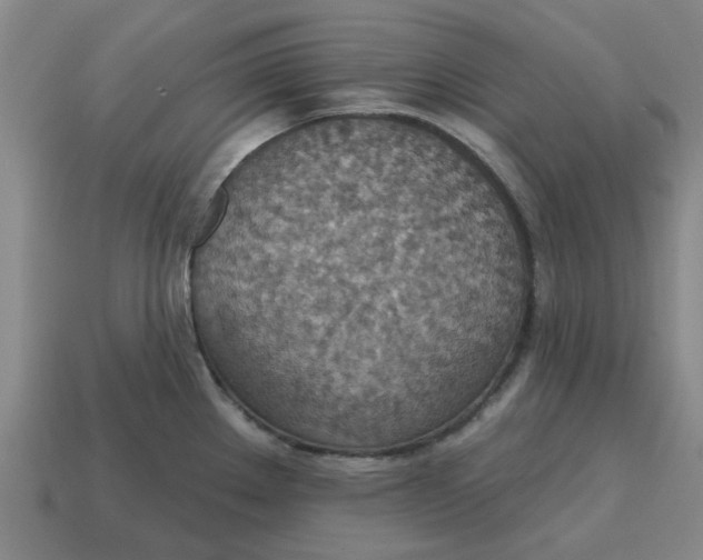 X0000114421289200911061615