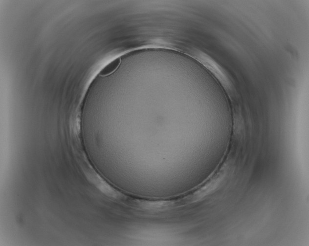 X0000114421292200911061615