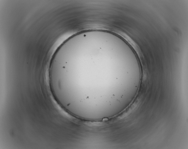 X0000114421293200911061615