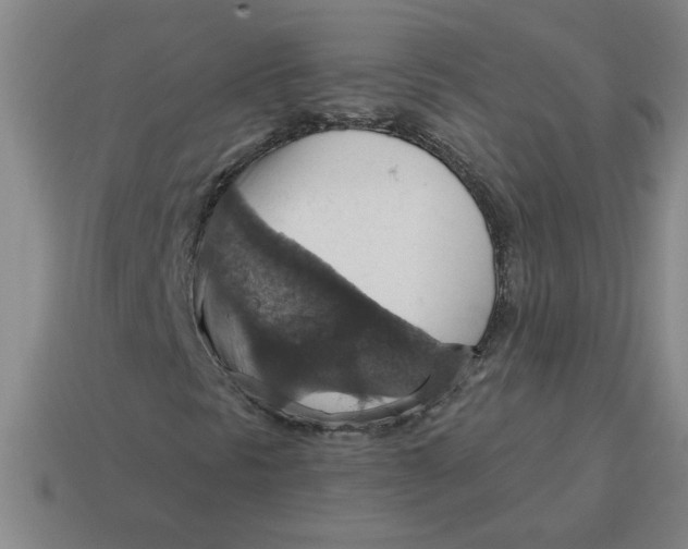 X0000114421297200911061614