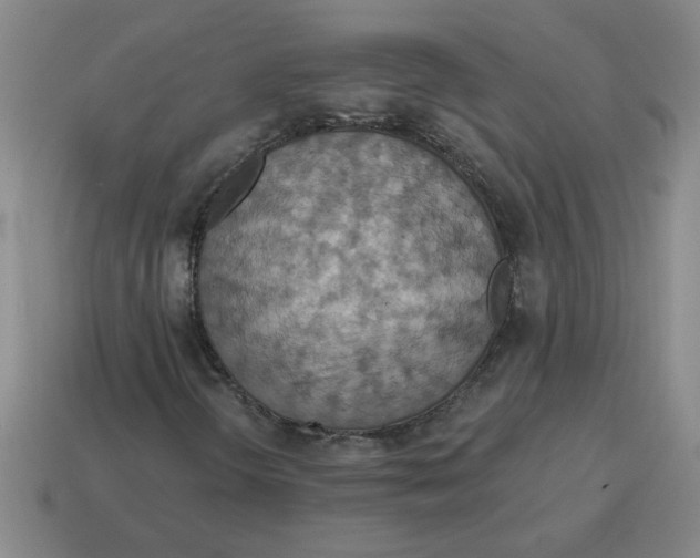 X0000114421298200911061614