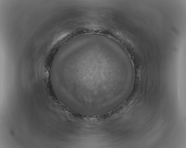 X0000114421302200911061614