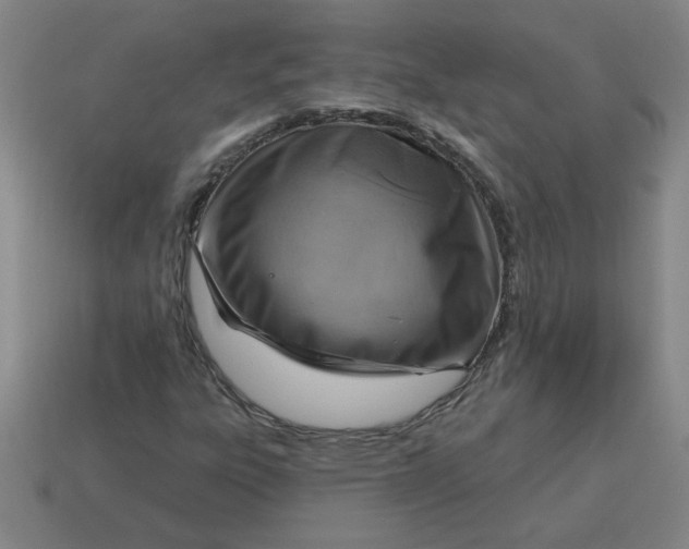 X0000114421303200911061614
