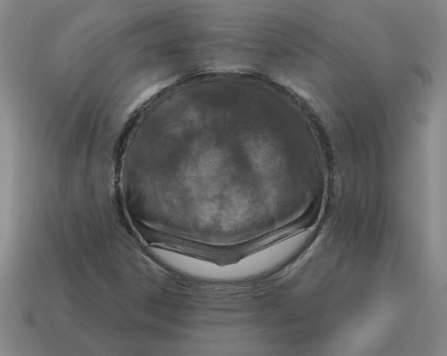 X0000114421306200911061614