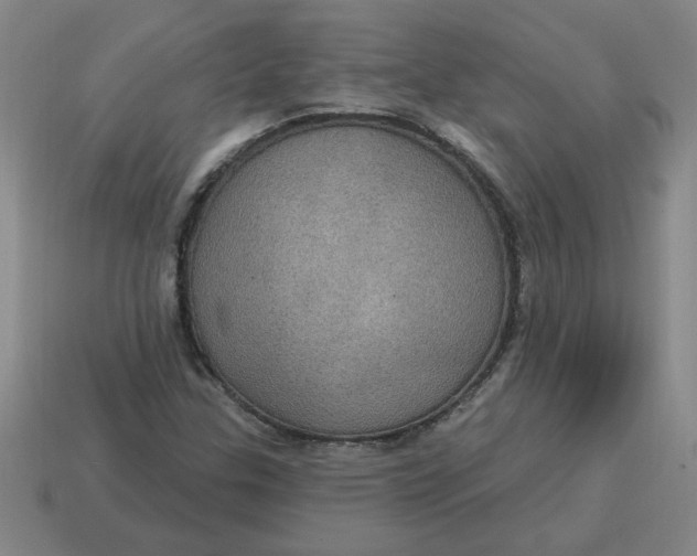 X0000114421307200911061614