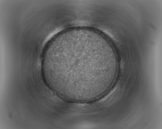 X0000114421309200911061614