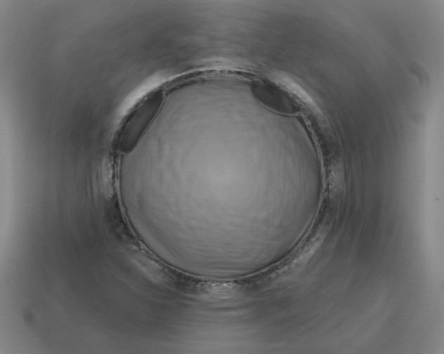 X0000114421310200911061614