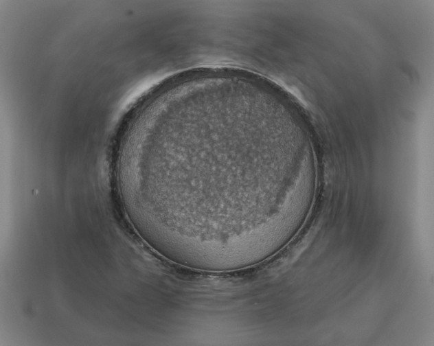 X0000114421311200911061614