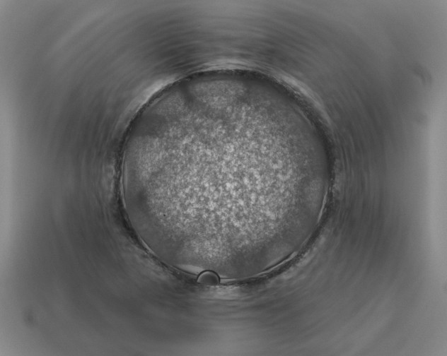 X0000114421313200911061614
