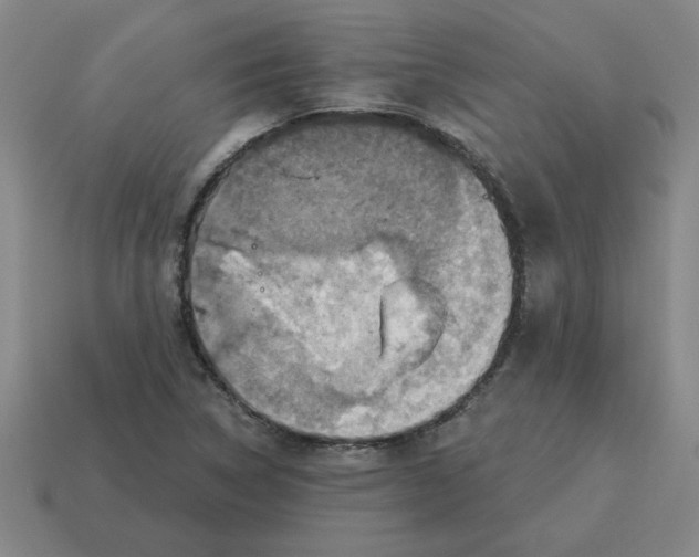 X0000114421314200911061614