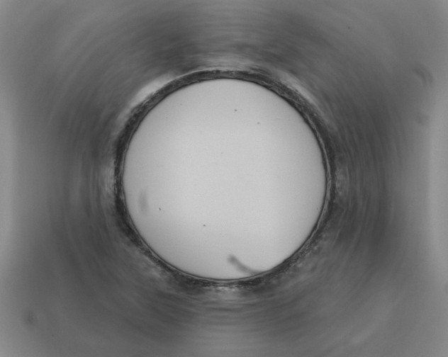 X0000114421315200911061614