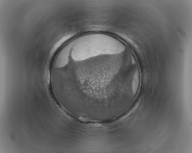 X0000114421317200911061614