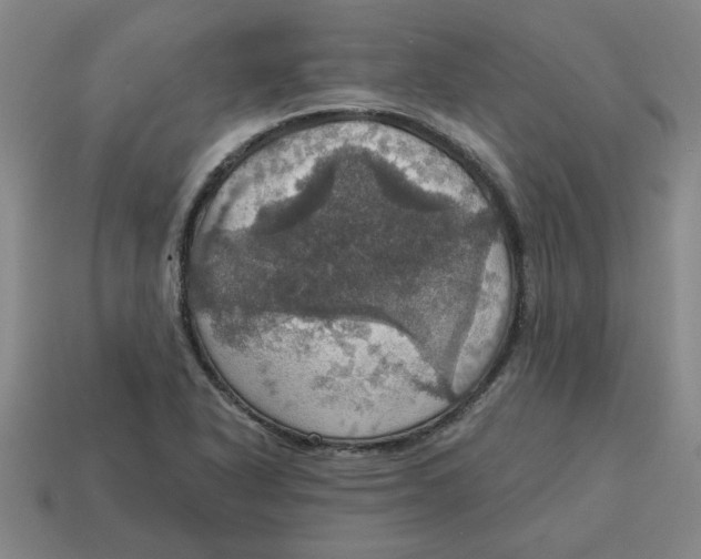 X0000114421318200911061614