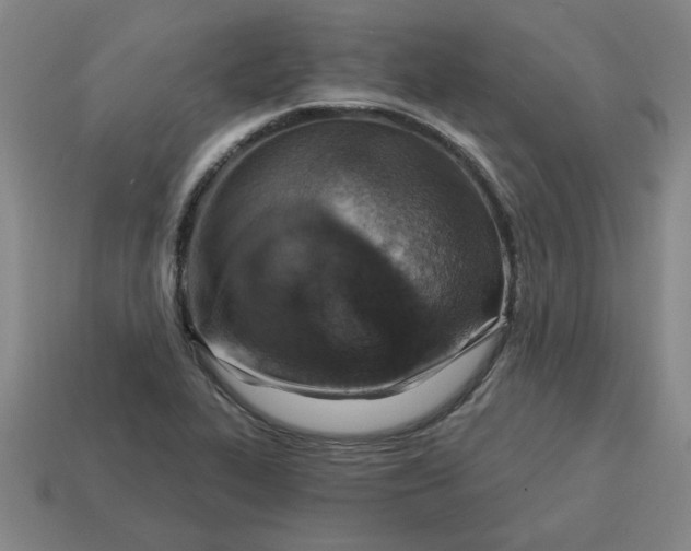X0000114421319200911061614