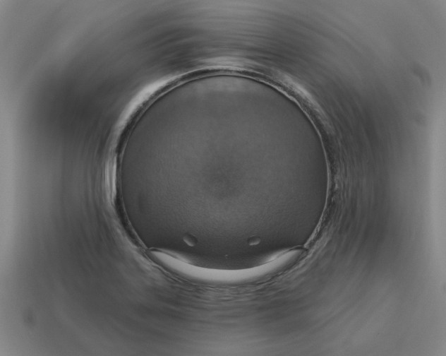 X0000114421323200911061614