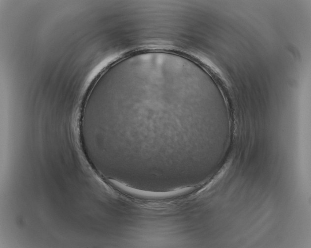 X0000114421325200911061614