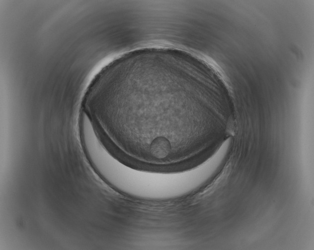 X0000114421326200911061614