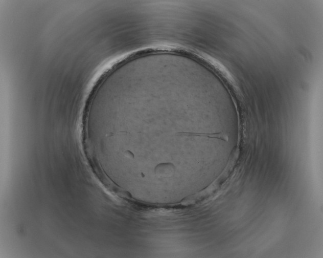 X0000114421327200911061614
