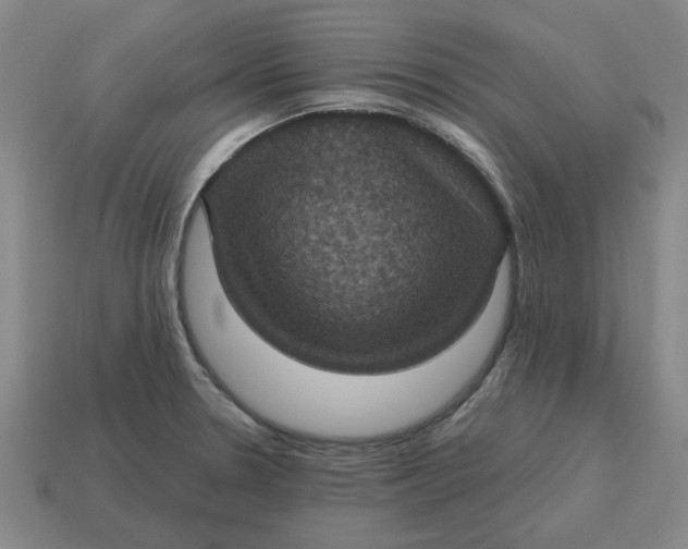 X0000114421330200911061615