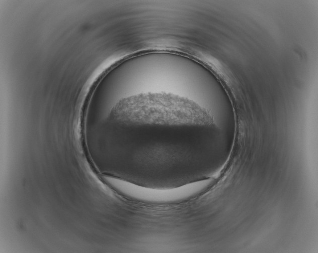 X0000114421331200911061615