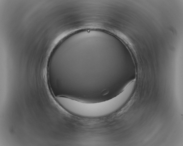 X0000114421334200911061615