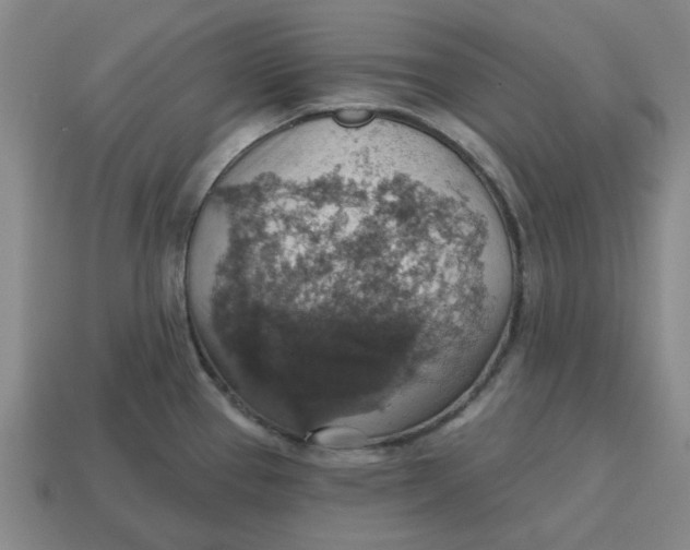 X0000114421337200911061615