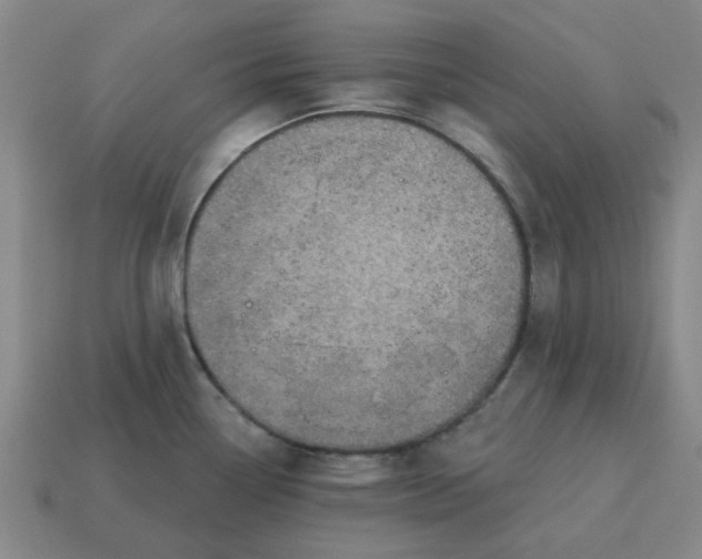 X0000114421338200911061615