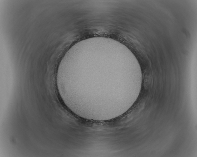 X0000114421345200911061614