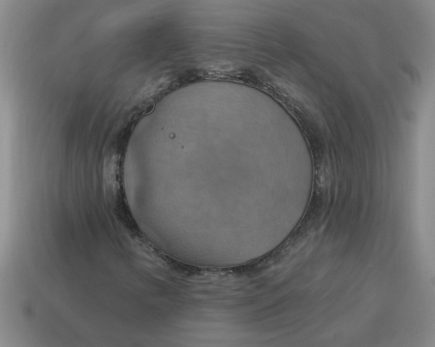 X0000114421346200911061614