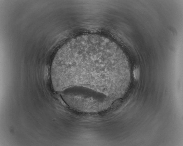 X0000114421347200911061614